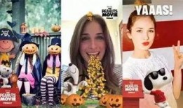 刘晶直播爆料视频大全集,揭秘视频大全集精彩瞬间